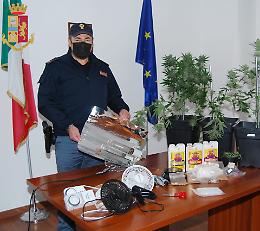 Serra di marijuana nel garage di casa, arrestato 40enne