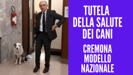 Tutela della salute dei cani, Cremona diventa modello nazionale