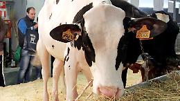 Agro-zootecnia sostenibile, il progetto Zafit verso la fase finale