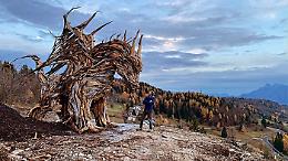 Nasce un Drago dalle foreste distrutte da Vaia