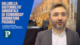 Gallinella: "La sostenibilità comporta un aumento del prezzo finale, il consumatore è disposto a pagare di più?"