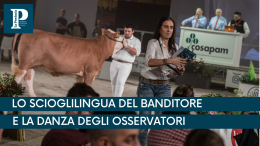 Asta-show alle Fiere Zootecniche Internazionali