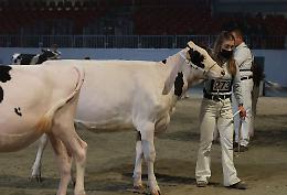 Convegni, animali e business: il secondo giorno dell'edizione 2021