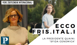 Frisona italiana, ecco il nuovo ente selezionatore Fris.ital.i.
