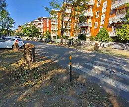 Quartiere Po, venerdì 3 dicembre il piano delle nuove piantumazione