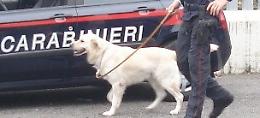 Vigili con il cane antidroga e carabinieri  al «Galilei»