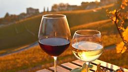 Vino: Agrinsieme a Patuanelli, difendere il settore in Ue