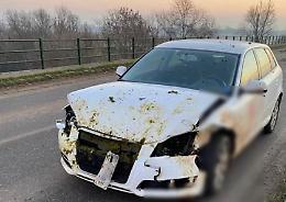 Con l'auto fa strage di pecore