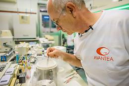 Avantea, altri 2 embrioni contro l'estinzione del rinoceronte bianco
