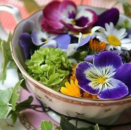 "Ratatuia...in fiore". Mercatino dell'usato, dei fiori e del riuso