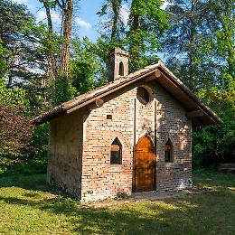 Visita naturalistica "Alla scoperta del bosco"