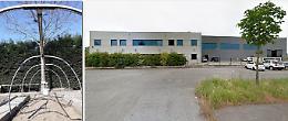 Alla Steelcover l’orto aziendale avanza