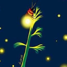 Tu sei una lucciola. Presentazione del libro di M.V.Strozzi