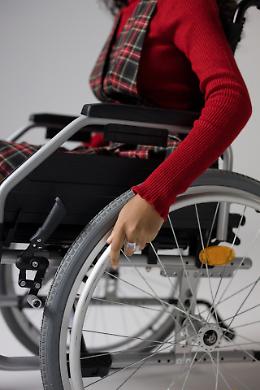 Giovani con disabilità fisica: borse di studio intitolate a Elsa Pigoli Zucchi