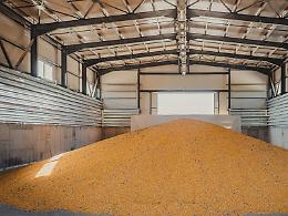 Cereali, la Commissione UE chiede all'Ungheria di ritirare il decreto che limita l'export