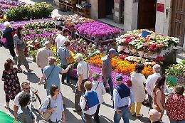 I profumi, i colori e i sapori della primavera per Cremona città-giardino