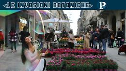 Le Invasioni Botaniche, nel cuore della città sboccia la primavera