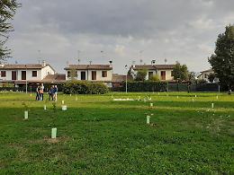 Vandali in azione contro le piante dei volontari  