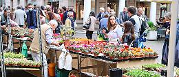 Crema Fiori e Sapori, si ricomincia dalla bellezza