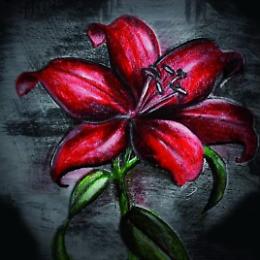 Spettacolo teatrale ‘Campi grigi, fiori rossi’ 
