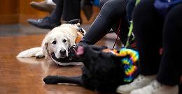 "Nel divorzio ora ne fa le spese fido", legale chiede una legge