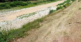Siccità, Fontanili asciutti: sos agricoltura e zootecnia