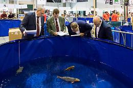 Giappone in Fiera, con il Carpe Koi bersaglio centrato