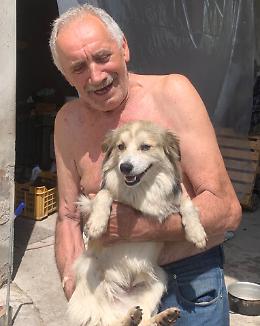 Cagnolino finisce in una trappola, salvato