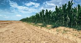 Siccità: i gestori lombardi aumentano il rilascio dell'acqua