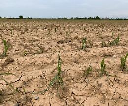 Confagricoltura, emergenza clima: accelerare sul decreto siccità
