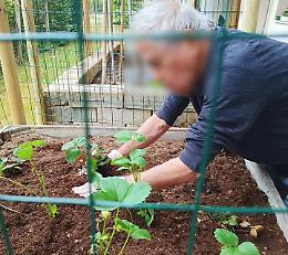 Alzheimer, curare l'orto e il giardino come terapia