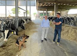 Siccità, Sos Agricoltura: "Siamo in sofferenza, servono interventi urgenti"