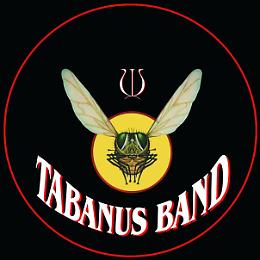 Concerto dei Tabanus Band