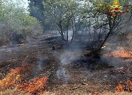 Siccità: bruciano 3mila mq del Parco Oglio Nord nella Bergamasca