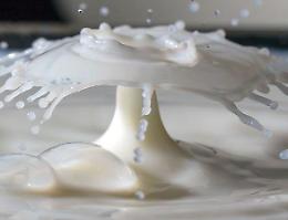 Latte: «Ora alzare il prezzo per garantire i produttori»