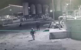 Banda in azione nella notte, rubati un trattore e un lanciapaglia. Colpo da 60 mila euro