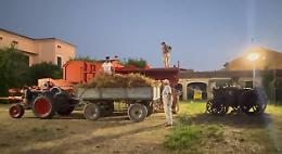 Trebbiatura con macchine degli anni '30, i Giovani Agricoltori: "Buona la prima"