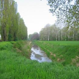 Storie di fiume con le Guardie Ecologiche Volontarie