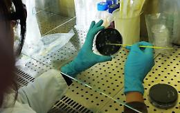 Stroncato dalla legionella: analisi anche sul traghetto