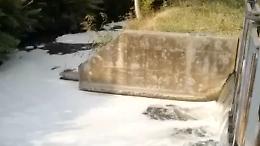 Una schiuma misteriosa inquina un canale in zona Codebruni Levante a Cicognara