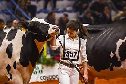 Fiere Zootecniche Internazionali di Cremona: al centro i giovani