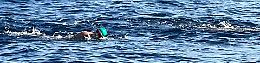 Stretto di Messina a nuoto, Luigi come Ulisse tra Scilla e Cariddi