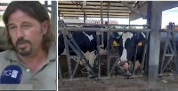 Zootecnia, Zaghen: «Più costi e meno prodotto. Manca una politica agricola»