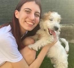 Sindrome di Ehlers Danlos, addestramento per Loki per aiutare Vanessa