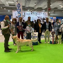 Doppia Esposizione canina - Stradivari dei Mille