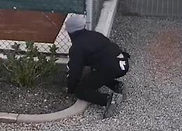 Dall'agguato al CremonArena all'arresto: assolto dall’accusa di tentato omicidio