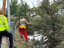 Tragedia in via Castello, uomo privo di vita nel fossato che circonda Villa Sommi Picenardi