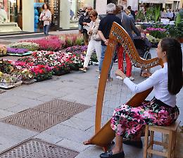 Le Invasioni Botaniche: tour tra gli stand