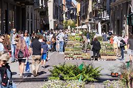 Le Invasioni Botaniche: per le strade una  «galleria d'arte» di petali, profumi e sapori
