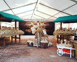 Aglio, al via la fiera di Monticelli: mercatini, sport inclusivo, gastronomia e musica